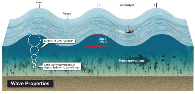 The properties of waves iclude wavelength and wave height. The motion of water particles dissipates at greater depths.